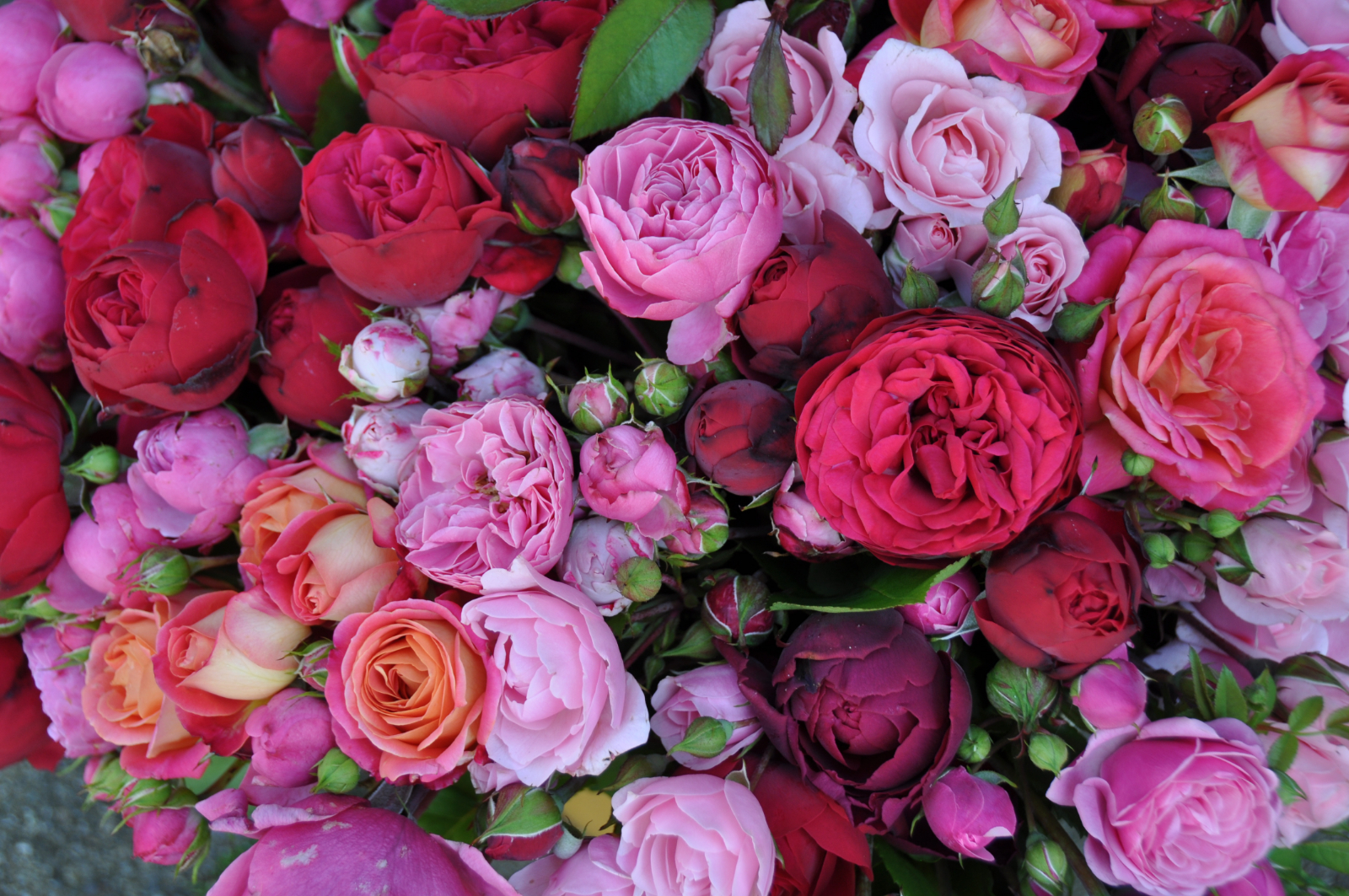 Blumengeschäft