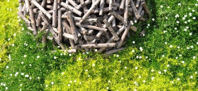 001Bepflanzungen_Gartenbau_Schwimmbad_Poolbau_Blumenladen_ZimmermannFlaach_Flaach