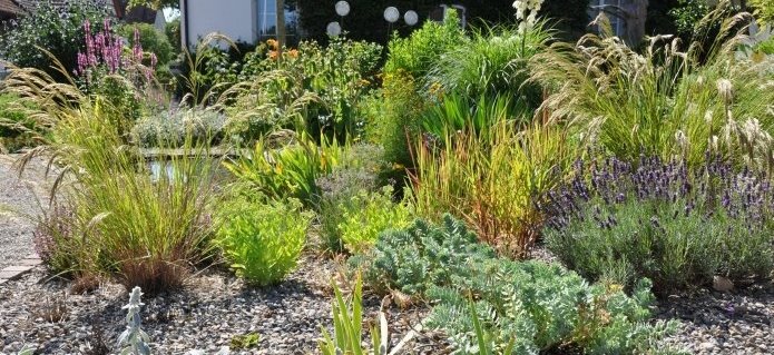 004Bepflanzungen_Gartenbau_Poolbau_Schwimmbad_Blumenladen_ZimmermannFlaach_Flaach