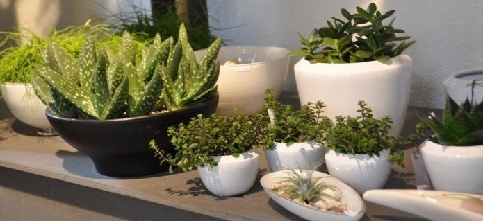 005Blumenladen_Boutique_ZimmermannFlaach_Flaach