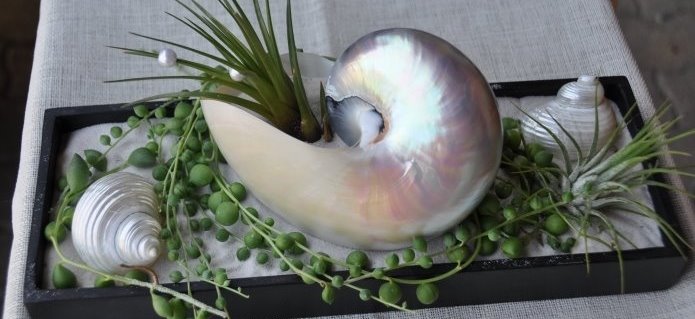 001Boutique_Dekorationen_Blumenladen_Gartenbau_Poolbau_ZimmermannFlaach_Flaach