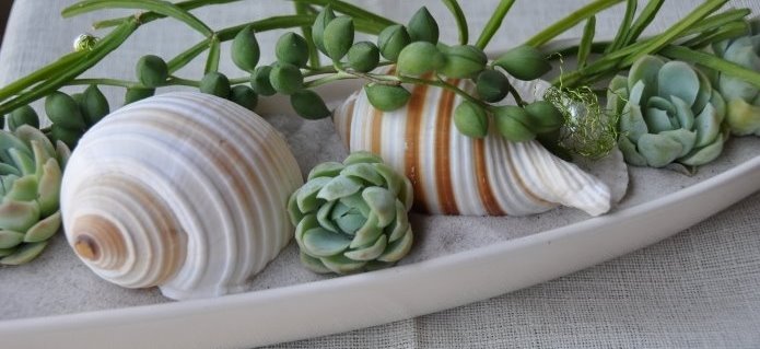 002Boutique_Dekorationen_Blumenladen_Gartenbau_Poolbau_ZimmermannFlaach_Flaach