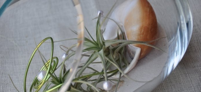 003Boutique_Dekorationen_Blumenladen_Gartenbau_Poolbau_ZimmermannFlaach_Flaach