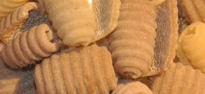 002Delikatessen_Blumenladen_Geschenke_Gartenbau_ZimmermannFlaach_Flaach