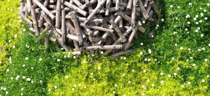 001Gartenbau_Schwimmbad_Blumenladen_Gärtnerei_Poolbau_ZimmermannFlaach_Flaach