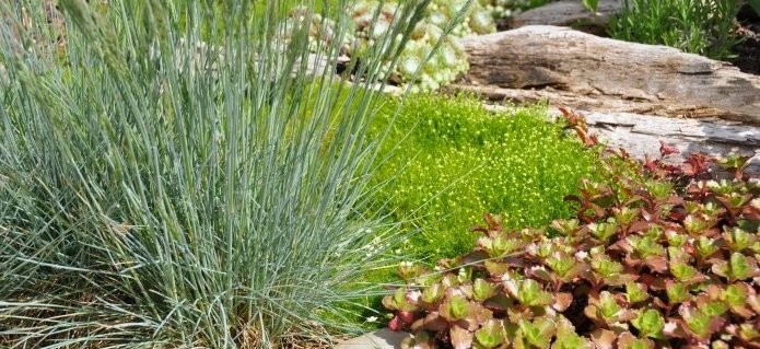 002Gartengestaltun_Gartenbau_Poolbau_ZimmermannFlaach_Flaach