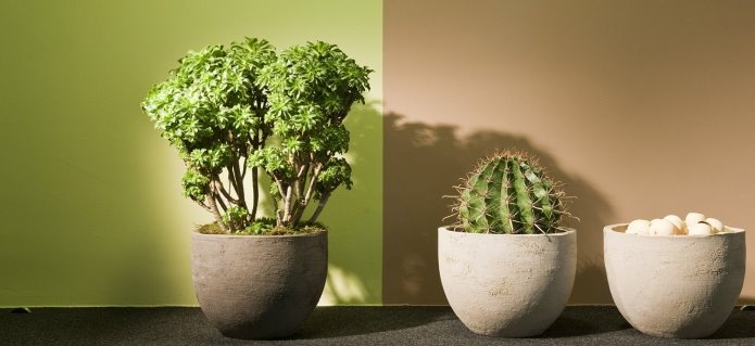 001Hydroservice_Gärtnerei_Blumenladen_Gartenbau-ZimmermannFlaach_Flaach