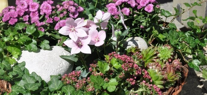 006Trauerfloristik_Pflanzenschale_Blumenladen_Gärtnerei_Gartenbau_ZimmermannFlaach_Flaach